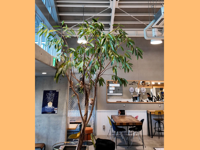 タグラインの店内